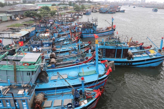 Công điện ứng phó  áp thấp nhiệt đới trên biển đông