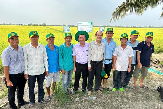 Hướng tới nông nghiệp tuần hoàn, giảm phát thải