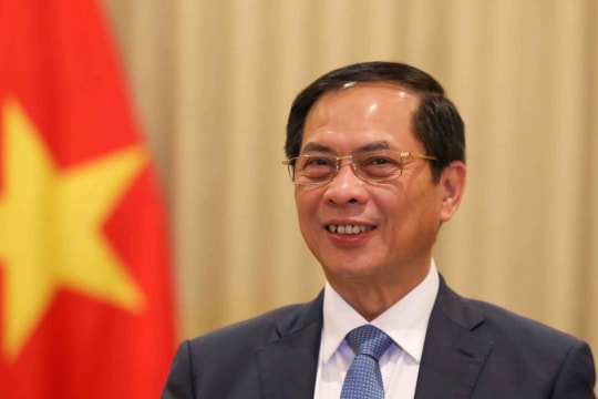 State leader's visits forge stronger comprehensive cooperation with African countries: Deputy PM, FM