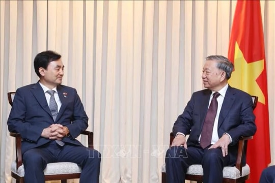 Party leader meets Chairman of RoK–Vietnam Parliamentary Friendship Group