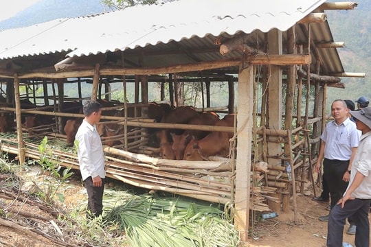 Thách thức khi tâm lý “không muốn thoát nghèo”