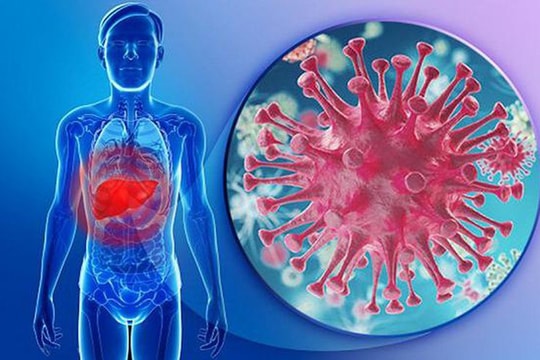 Viêm gan virus: “Sát thủ” thầm lặng cho sức khoẻ