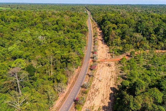 Đề xuất làm đường trên cao qua Khu bảo tồn thiên nhiên văn hóa Đồng Nai