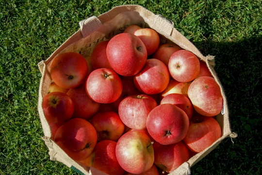 Ăn 2 quả táo mỗi ngày: Bí quyết nhỏ cho lá gan khoẻ và trái tim bền