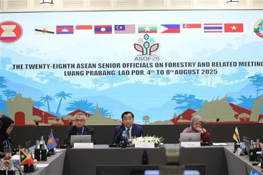 Laos pushes for stronger cooperation in forest protection, climate change adaptation