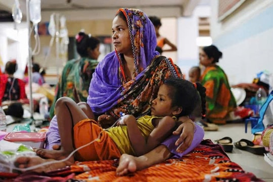 Bangladesh: Số ca tử vong do sốt xuất huyết vượt 100, tháng 8 có thể tồi tệ hơn