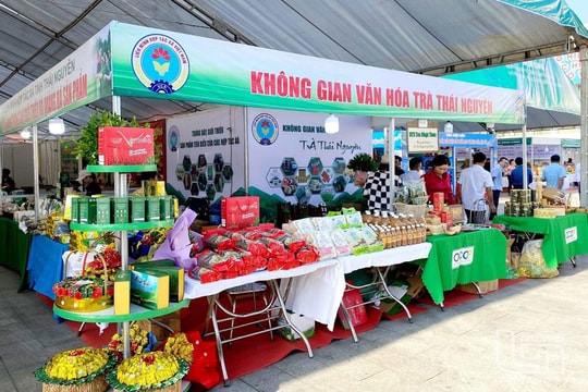 Hợp tác xã điện tử: Giải bài toán chuyển đổi số và minh bạch hóa tài chính