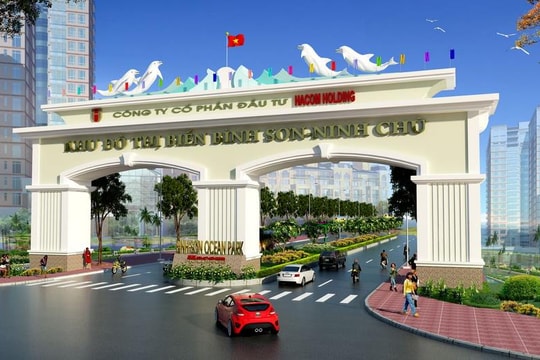 “Đứng sau” dự án đô thị biển Bình Sơn – Ninh Chữ nằm trong diện Thanh tra, Halcom Holdings có vốn nghìn tỷ, tổng số lao động chỉ 7 người