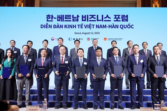 KN Holdings hợp tác Samsung C&T phát triển 864MW điện mặt trời nổi