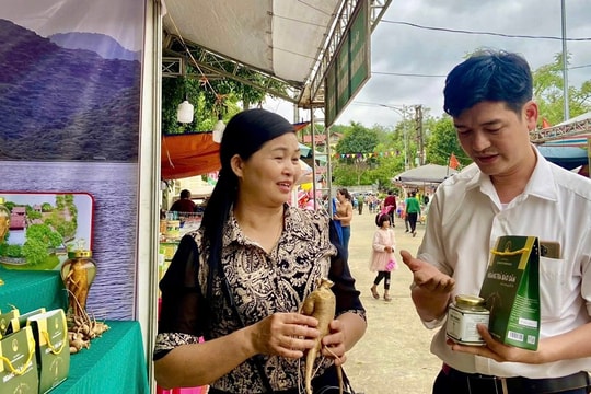 Ninh Bình: Ứng dụng khoa học công nghệ nâng cao giá trị cây dược liệu