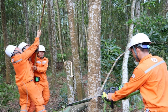 “Lá chắn” an toàn cho hệ thống điện Hà Tĩnh