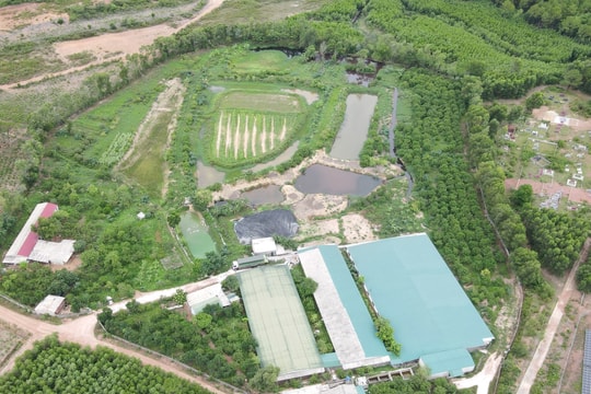 Hà Tĩnh: Hợp tác xã dịch vụ và chăn nuôi tổng hợp Hà Phi gây ô nhiễm, “bất tuân” yêu cầu của chính quyền?