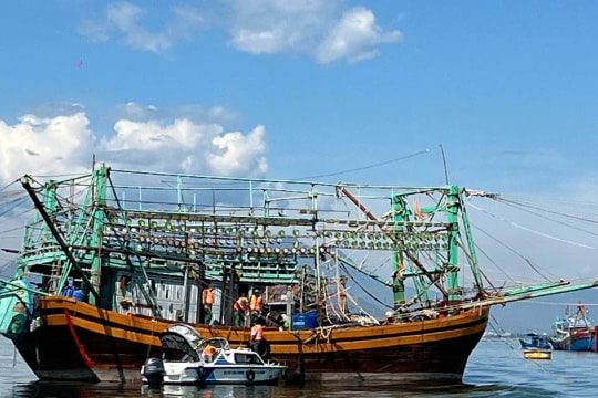 Da Nang expects removal of EC yellow card, sustainable fishery industry