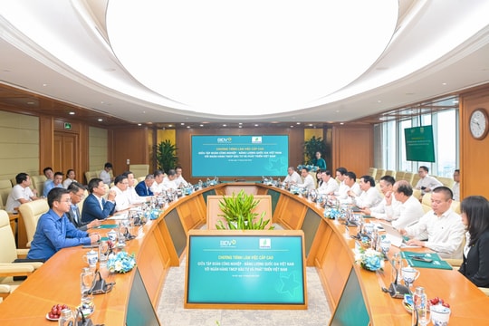 Hợp tác, tạo động lực bứt phá