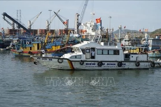 Gia Lai authorities, fishermen join hands in carrying out EC's recommendations