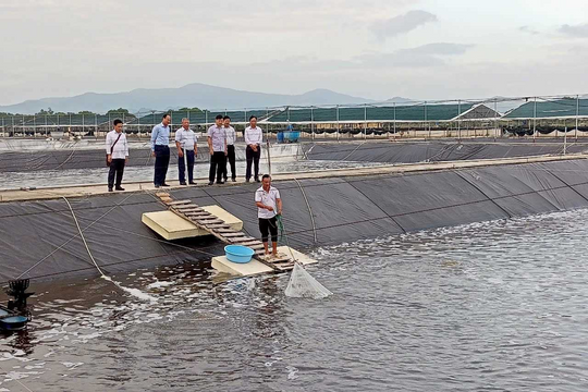 Hướng đến nền nông nghiệp hiện đại, thích ứng biến đổi khí hậu