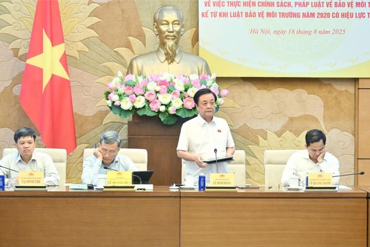 Pháp luật về môi trường cần được rà soát, hoàn thiện theo tinh thần Nghị quyết 66