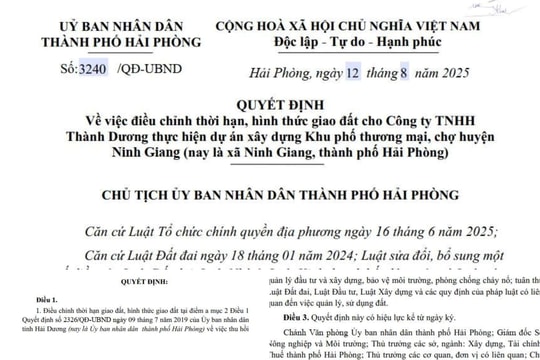 Hải Phòng: Giám sát chặt chẽ việc thực hiện dự án Khu phố Thương Mại, chợ Ninh Giang