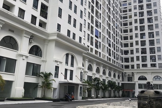 Bị cưỡng chế thuế hơn 346 tỷ đồng, BIDGroup kinh doanh ra sao?