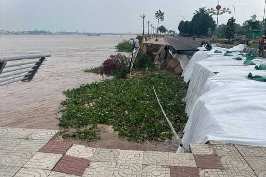 Đồng Tháp: Liên tiếp xảy ra sạt lở tại công trình kè Thường Thới Tiền