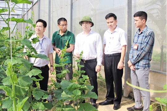 Phường Tân An (Bắc Ninh): Phát triển toàn diện, bền vững, chung sức đưa tỉnh trở thành thành phố trực thuộc Trung ương