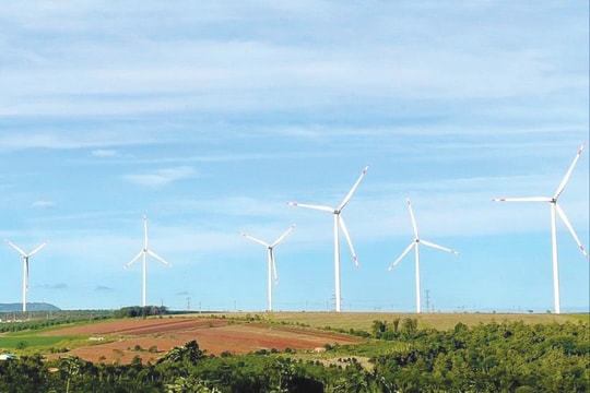 Bài cuối: Dứt điểm kiến nghị của 296 hộ dân ảnh hưởng dự án điện gió