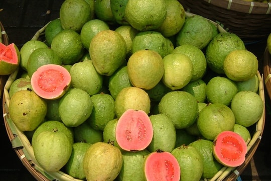 Ổi giàu vitamin C hơn cam, nhưng không phải ai cũng nên ăn