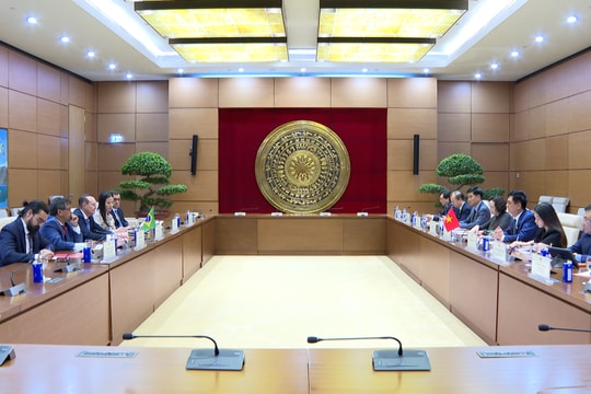 Quốc hội Việt Nam luôn coi trọng, mong muốn thúc đẩy hợp tác Quốc hội với Brazil