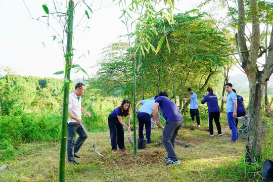 Lan tỏa tinh thần sống xanh từ Ngày hội trồng tre