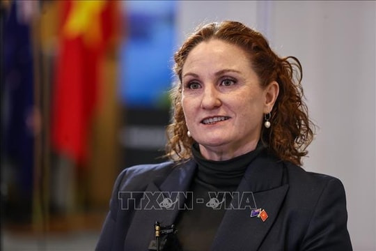 Vietnam, New Zealand vow to beef up bilateral relations: Deputy FM