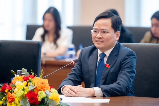 Nhóm ĐBQH trẻ Việt Nam hội đàm với Nhóm nghị sĩ trẻ Nhật Bản