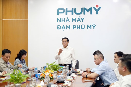 Phó Thủ tướng Bùi Thanh Sơn thăm nhà máy Đạm Phú Mỹ