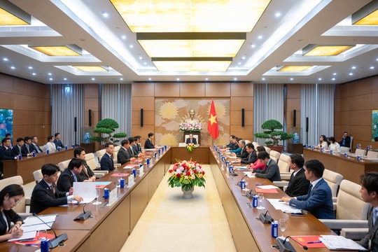 Chủ tịch Quốc hội Trần Thanh Mẫn tiếp Đoàn Ban Thanh niên Đảng Dân chủ tự do và nghị sĩ trẻ Nhật Bản