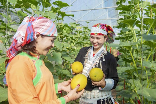 UNDP đánh giá cao cam kết của Việt Nam trong cải thiện đời sống cộng đồng dân tộc thiểu số