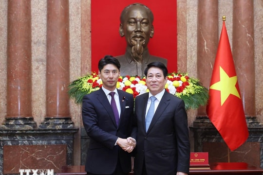 Chủ tịch nước Lương Cường tiếp Trưởng Ban Thanh niên Đảng Dân chủ tự do Nhật Bản
