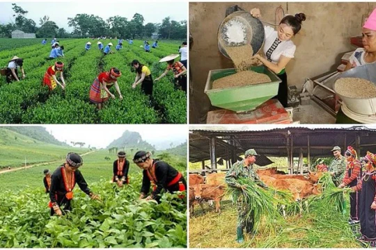 Đẩy nhanh tiến độ thực hiện Chương trình MTQG phát triển kinh tế - xã hội vùng đồng bào dân tộc thiểu số và miền núi