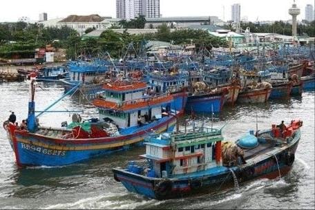 Cục Hàng hải và Đường thủy Việt Nam lập các phương án ứng phó với Bão số 5