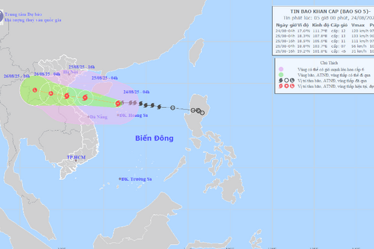 Bão số 5 KAJIKI mạnh lên cấp 12, giật cấp 15, có thể mạnh thêm