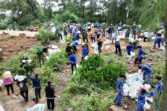 Khẩn trương gia cố tuyến đê trọng yếu bảo vệ hàng trăm hộ dân trước bão số 5