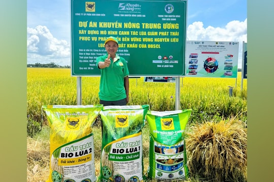 Giải pháp mới cho canh tác lúa gạo bền vững và giảm phát thải