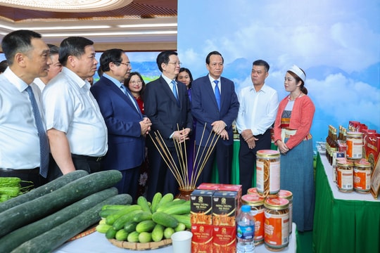 Chương trình mục tiêu quốc gia phát triển kinh tế - xã hội vùng đồng bào dân tộc thiểu số và miền núi: Mệnh lệnh từ trái tim, khó mấy cũng phải làm hiệu quả