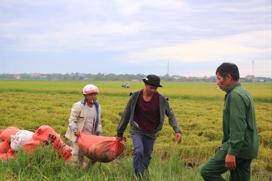 Người dân Quảng Trị gấp rút phòng chống bão số 5