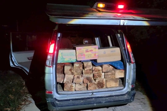 Đắk Lắk: Kịp thời ngăn chặn vụ vận chuyển gỗ trái phép