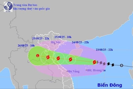 Chủ động các biện pháp ứng phó bão số 5 ở mức cao nhất