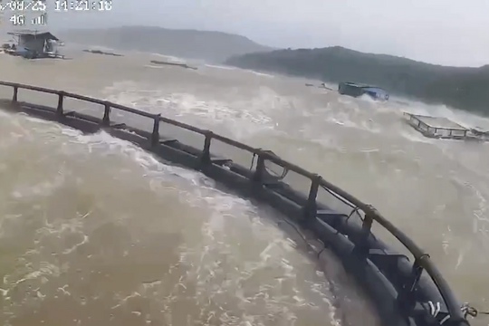 Nông dân Quảng Trị xót xa nhìn lồng bè tiền tỷ bị sóng lớn “dập” trên biển