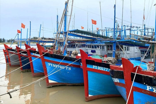 Đến năm 2030, Đắk Lắk sẽ trở thành trung tâm cảng biển - logistics