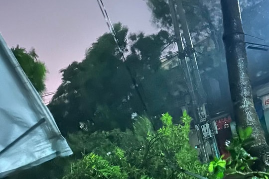 Thủ tướng chỉ đạo tập trung ứng phó với bão số 5 KAJIKI