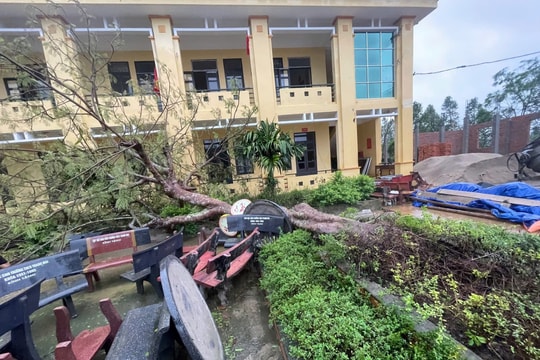 Bộ Nông nghiệp và Môi trường đề nghị theo dõi cảnh báo để ứng phó với mưa lớn, nguy cơ lũ quét, sạt lở đất