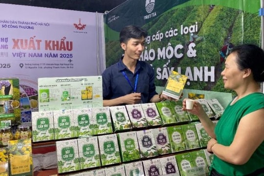 Tăng trưởng xuất khẩu của Hà Nội: Sức bật mạnh mẽ từ doanh nghiệp nội địa