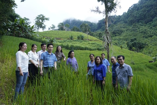 Cao Bằng đưa sản vật đặc trưng trở thành sản phẩm hàng hóa giá trị